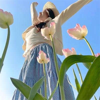 青鸟