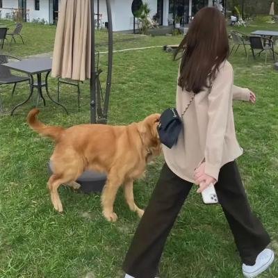 九色鹿王·前尘